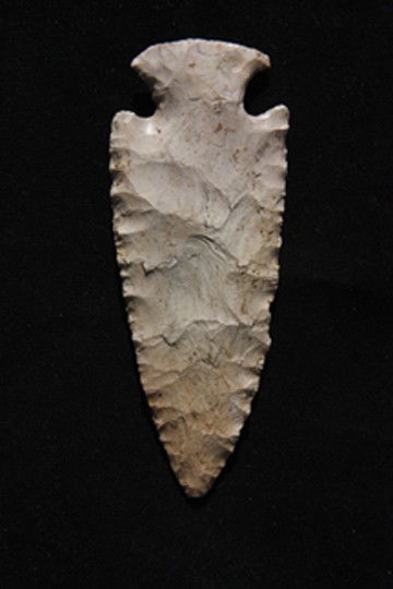 Gibson: 150 -600 BP 3.74" x 1.45" MO/ILL Museum COA