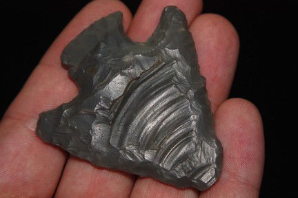 Hopewell: Illinois 2.36"