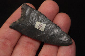 Dalton Point: Dalton Point 2.42" long,