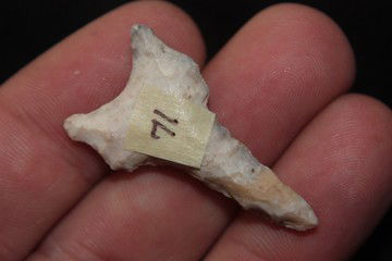 Dalton Drill: Dalton Drill 1.51" long