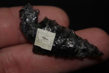 Northern Side Notch: Northern Side Notch Measurement: 1.79" Origin: Made of Obsidian and from The Great Divide Nevada