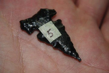 Northern Side Notch: Northern Side Notch Measurement: 1.54" Origin: Made of Obsidian and from the Great Divide Nevada