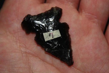Side Notch: Side Notch Measurement: 1.57" Origin: Made of Obsidian and from the Great Dividie Nevada