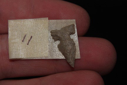 Billings .78" MT: Lewis & Clark Co Montana 300-150 BP All artifacts are GUARANTEED ANCIENT & come with a Certificate of Authenticity from the museum