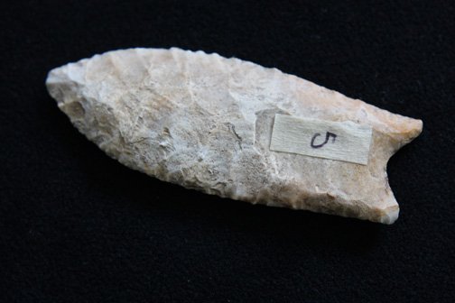 Fluted Clovis