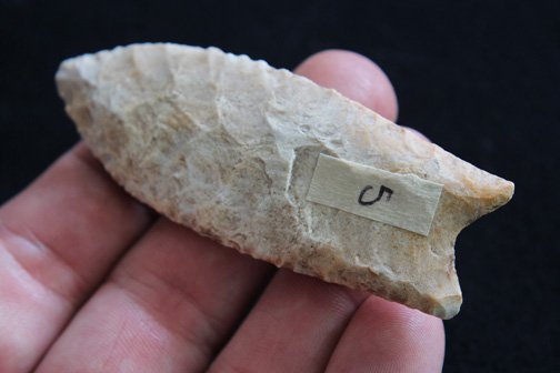 Fluted Clovis - 2