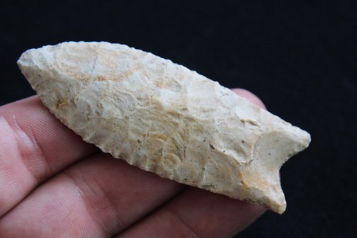 Fluted Clovis - 3