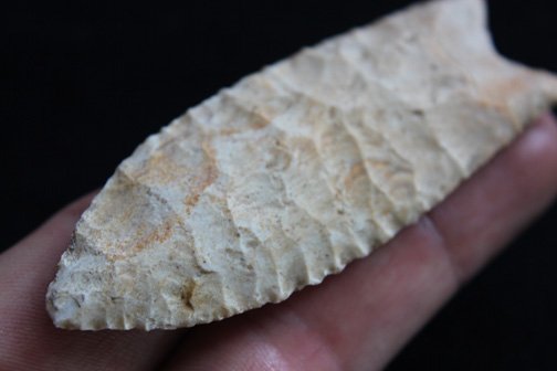 Fluted Clovis - 4
