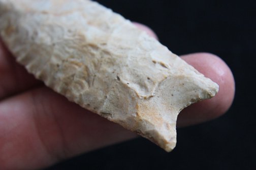 Fluted Clovis - 5