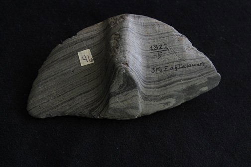 Banded Slate Bannerstone: Banded Slate Bannerstone - Undrilled found east of Delaware Co Ohio - 5.65"