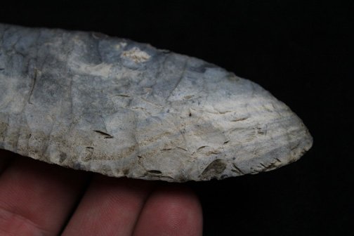 Double Fluted Clovis - 7