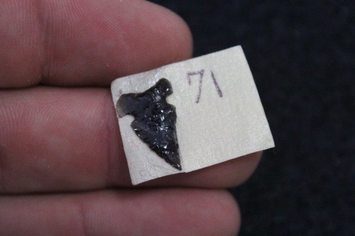Birdpoint: Birdpoint Made of Obsidian and from New Mexico. .63" Long