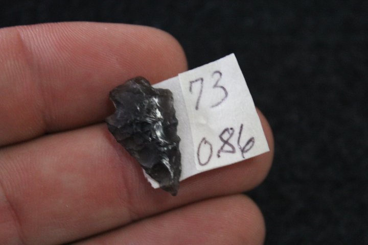 Birdpoint: Birdpoint Made of Obsidian and from New Mexico. .86" long