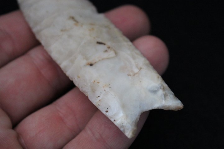 Clovis - 4