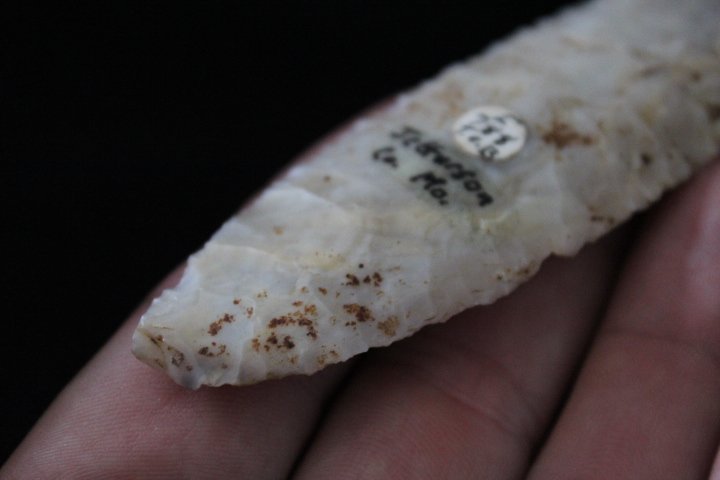 Clovis - 5
