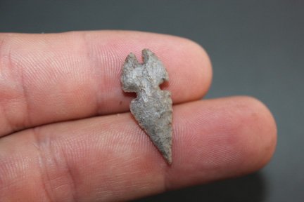 Southwest bird point (1 of 2)