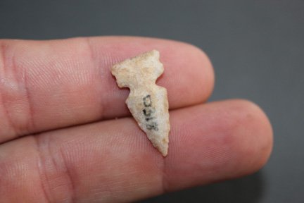 Side notched bird point (1 of 2)