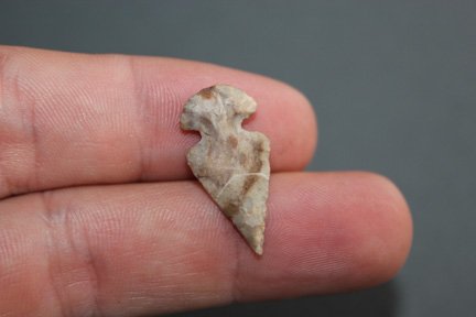 Southwest bird point (1 of 2)