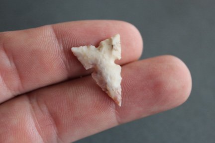 Fine Tri notched bird point (1 of 2)