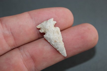 Rare notched bird point (1 of 2)