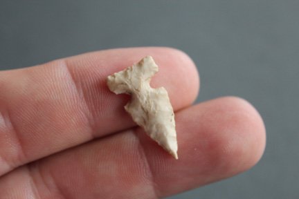 Side notched bird point (1 of 2)