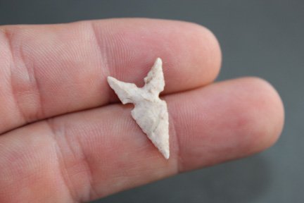 Side notched bird point (1 of 2)