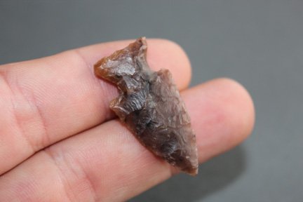 Stemmed Bird Point (1 of 2)