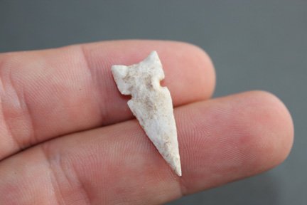 Side notched bird point (1 of 1)