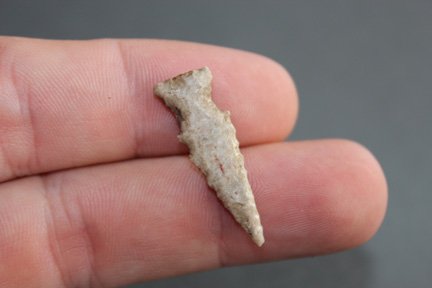 Stemmed Bird Point (1 of 2)