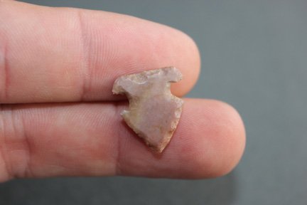 Side notched bird point (1 of 2)