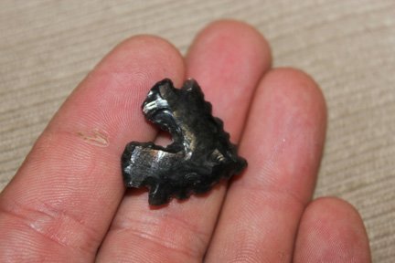 Biforcated Base Obsidian Point (1 of 4)