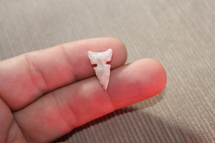 Side Notch Point (1 of 3)