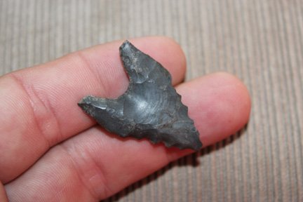 Dalton Point (1 of 4)