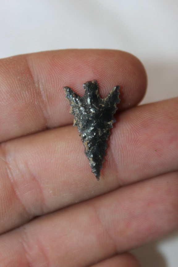 Obsidian Stemmed Bird point (1 of 4)