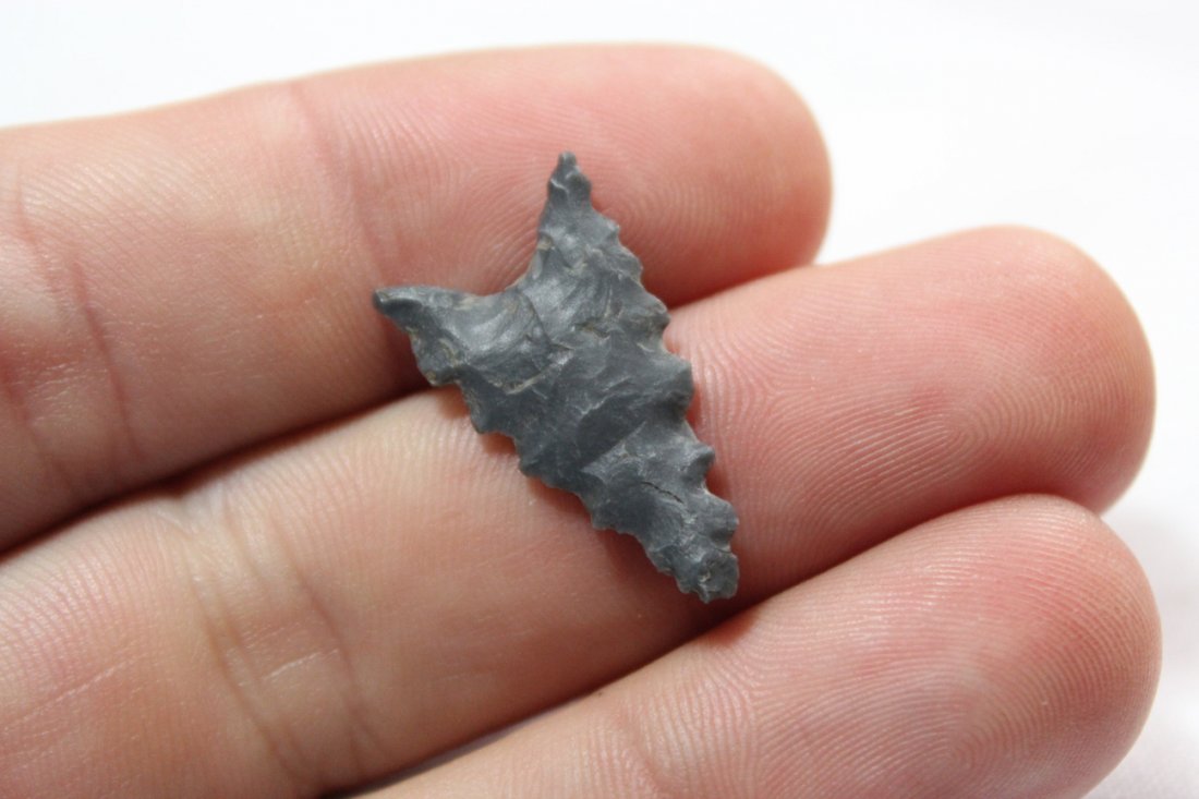 Auriculate point (1 of 4)