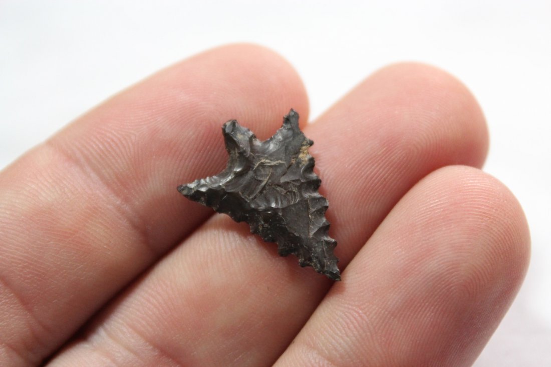 Stemmed Bird point (1 of 4)