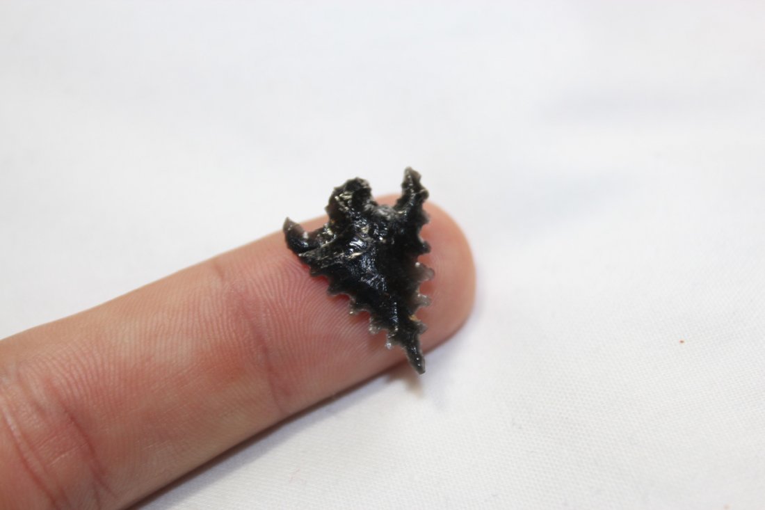 Obsidian Base Notched bird point (1 of 3)