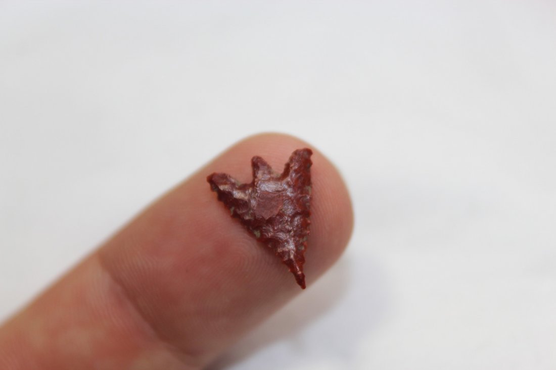 Stemmed Bird point (1 of 3)