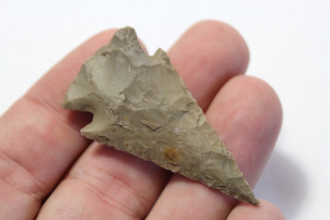 Base/Corner Notch Point (1 of 4)