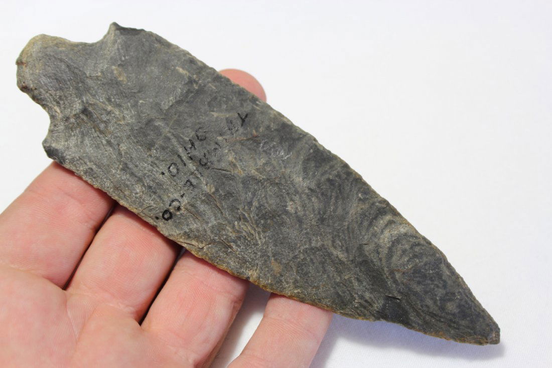 Contracting Stem Point (1 of 6)