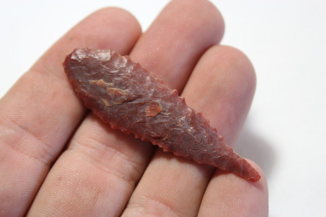 Red Serrated Willowleaf (1 of 3)