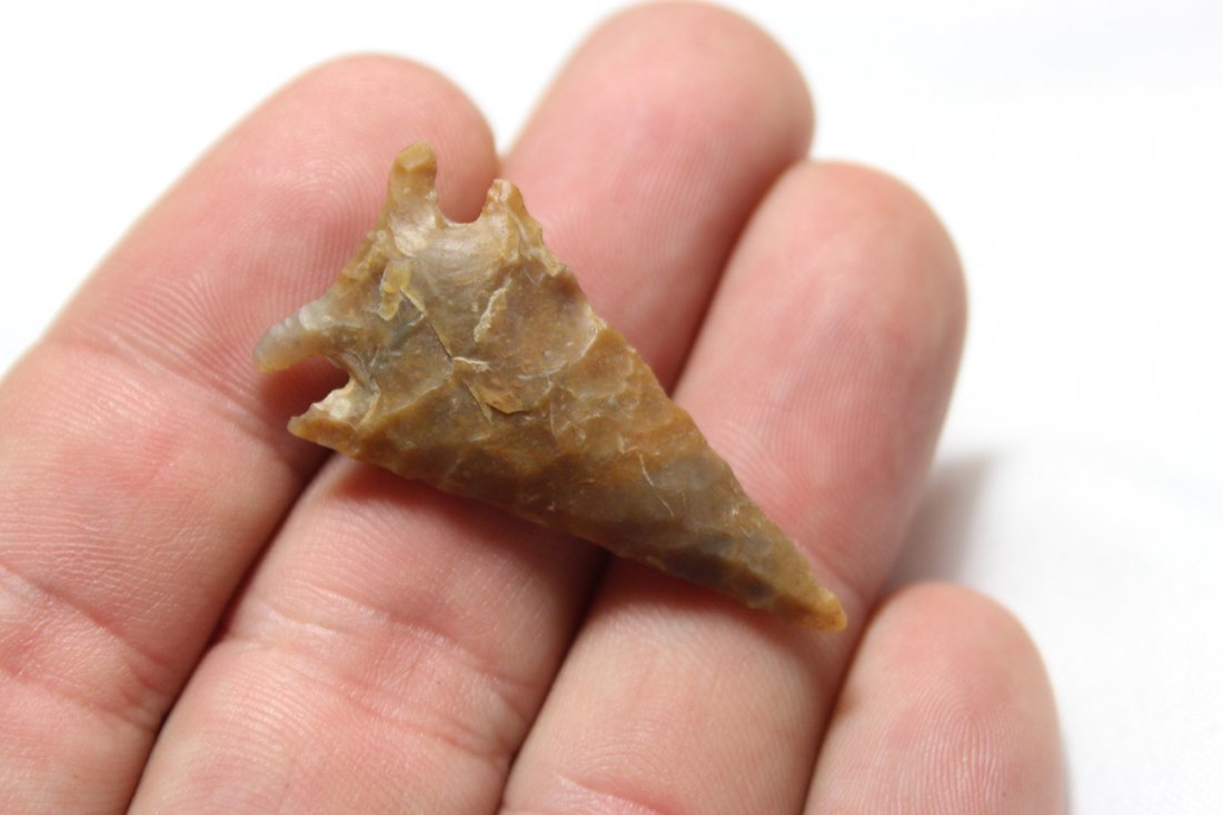 Side Notched Point (1 of 4)