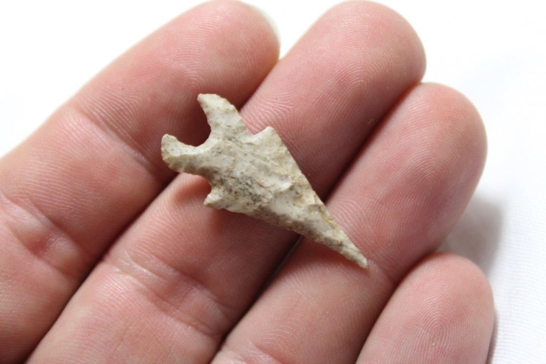 Texas Bird Point (1 of 5)