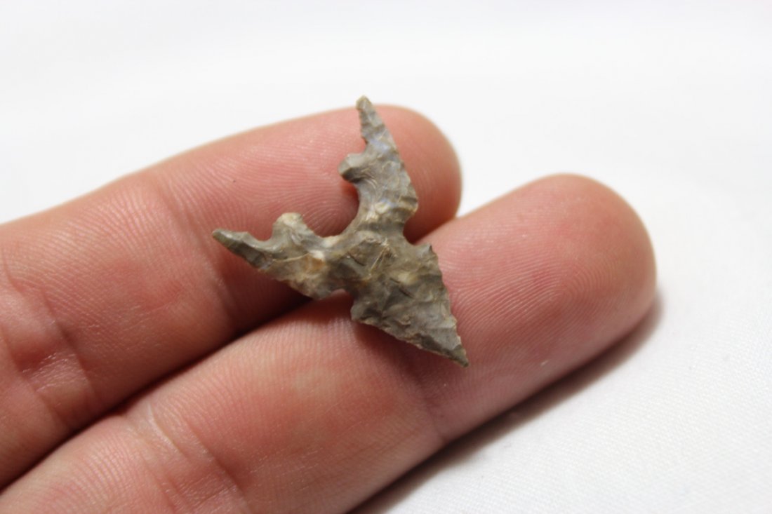 Texas Bird Point (1 of 4)