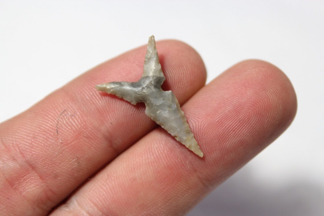 Texas Bird Point (1 of 4)