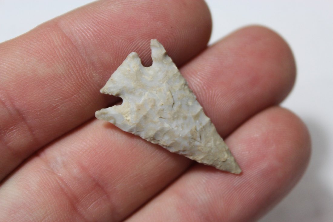 Texas Bird Point (1 of 4)