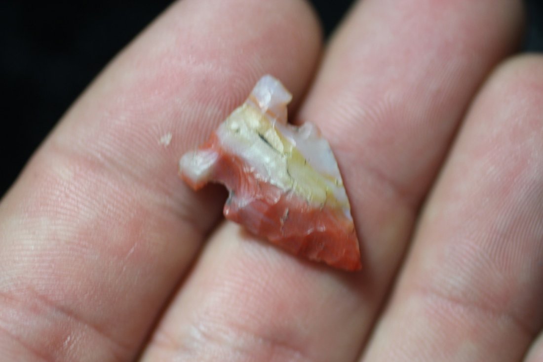 Side Notch  Bird Point (1 of 3)