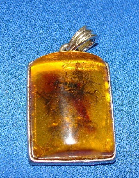 Amber Pendant with Bee Embedded: A bee and other insects preserved in a pretty amber pendant. Weight : 16 grams Size : 37 X 25 X 11 mm Material : Amber