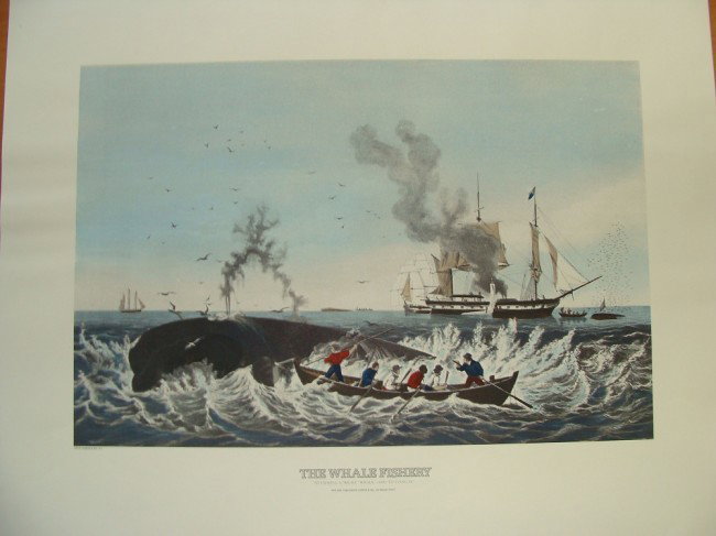 The Whale Fishery by Currier & Ives 1982: Attacking a "Right" Whale, and "Cutting In" says the caption. Litho published by Currier & Ives, New York, Printed by Aaron Ashley NY. Print Dimensions 29" by 23".