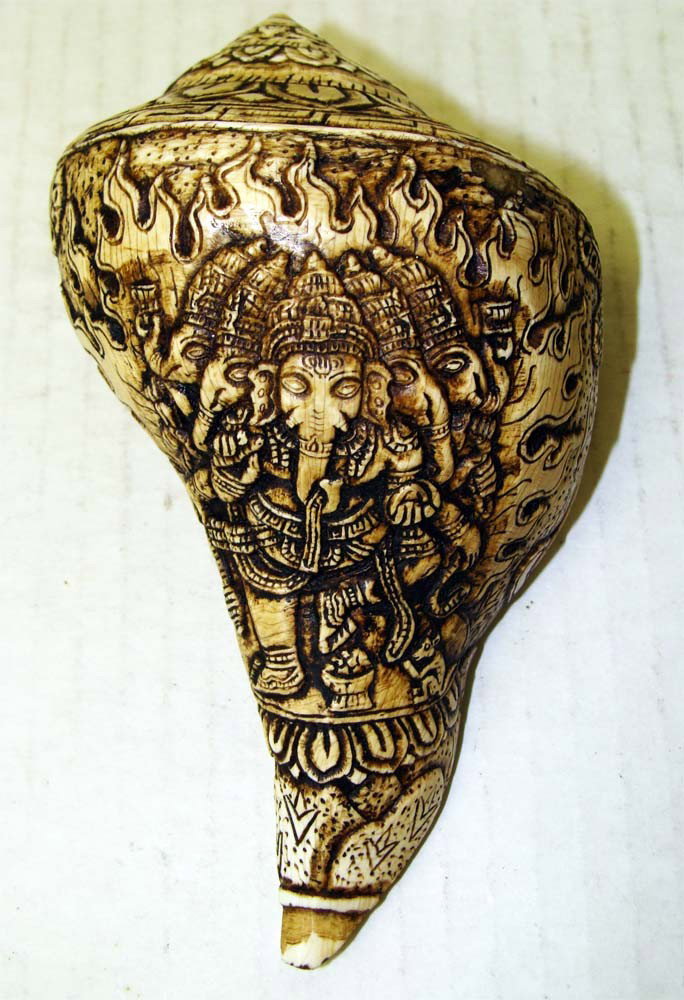 Ceremonial Nepal Carved Conch Shell Ganeesh: Magnificent and beautiful intricate carving covers the entire conch shell, Dimensions 2.75" wide by 5.5" long. TA36W1